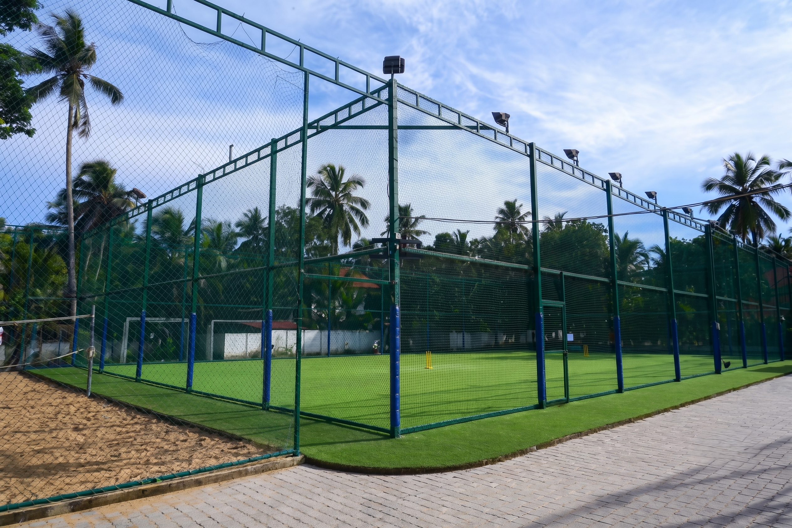 Cricket Turf