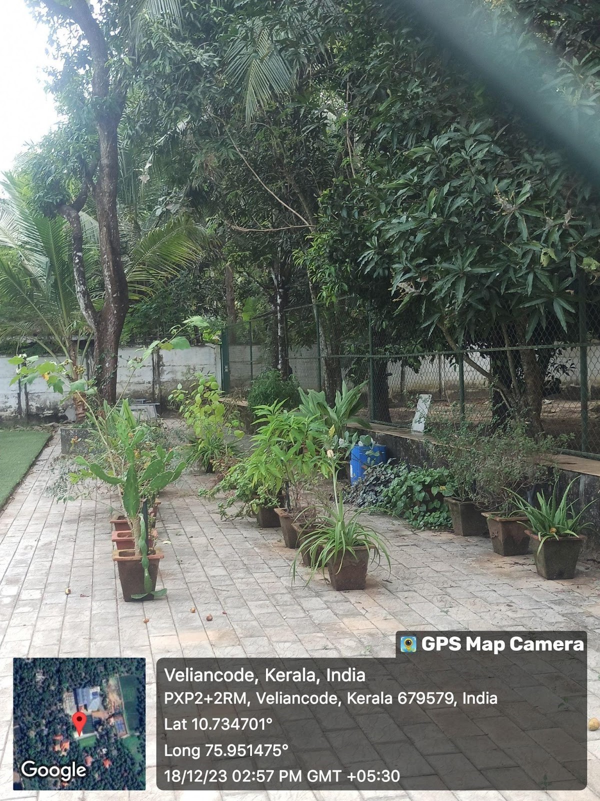 MEDICINAL GARDEN